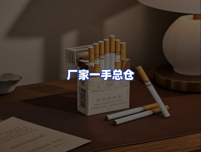 专业团队